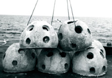 artificial reef balls stacked on boat deck