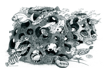 drawing of fish swimming through artificial reef ball